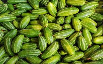 কোষ্ঠকাঠিন্য, কোলেস্টেরল ও ডায়াবেটিস নিয়ন্ত্রণ করে পটল