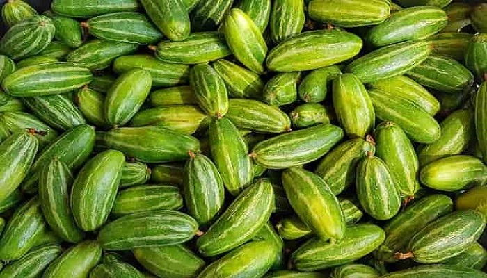 কোষ্ঠকাঠিন্য, কোলেস্টেরল ও ডায়াবেটিস নিয়ন্ত্রণ করে পটল