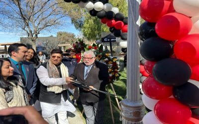 উদ্বোধনের পরই প্রবাসীদের সাথে নিয়ে শহীদ মিনারে ড. মোমেনের শ্রদ্ধাঞ্জলি