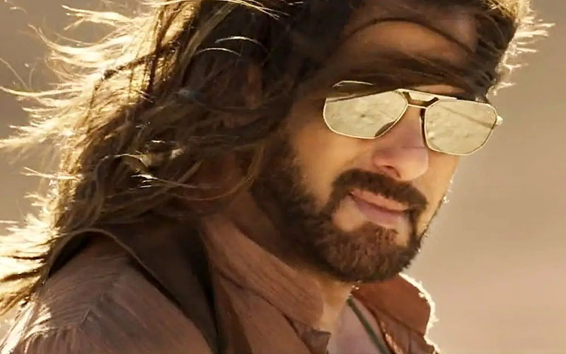 ভিলেন চরিত্রে কেন অভিনয়ে ‘না’ সালমানের