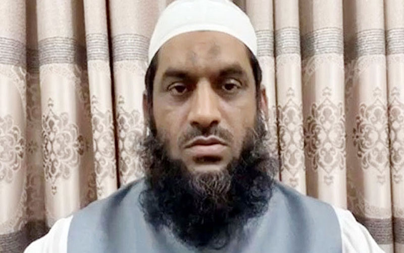 পাঁচ মামলায় হাইকোর্টে জামিন পেলেন মামুনুল হক