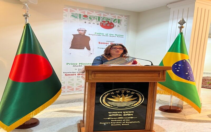 উৎসবের আমেজে ব্রাজিলে জাতীয় প্রবাসী দিবস