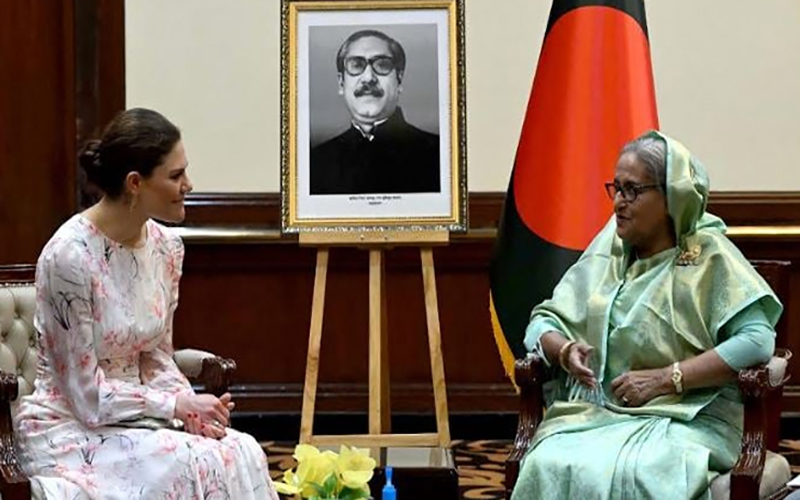 রোহিঙ্গাদের জন্য ইউএনডিপিকে যে আহ্বান জানালেন প্রধানমন্ত্রী, সুইডিশ রাজকন্যার সাক্ষাৎ