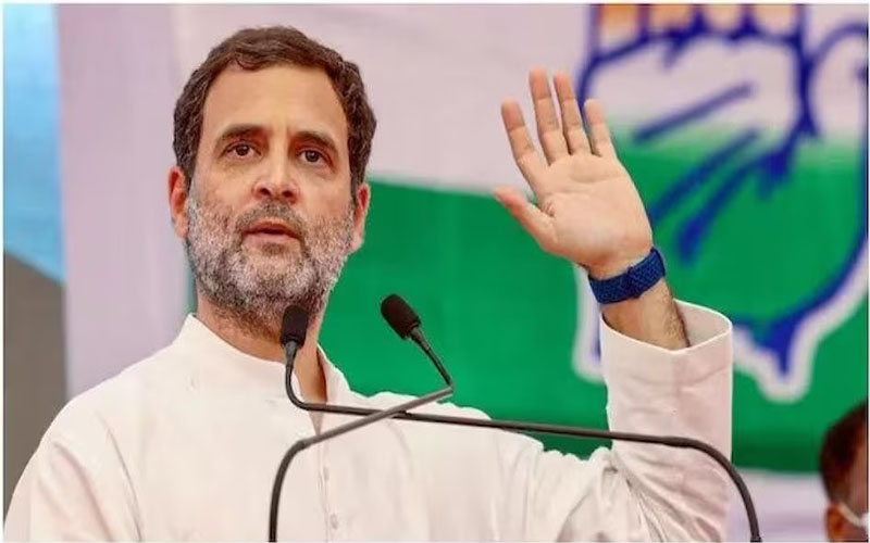 কর্ণাটকে বিজেপির মানহানির মামলায় জামিন পেয়েছেন রাহুল
