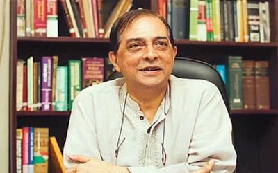 সংবিধান সংস্কারের উদ্যোগ, কমিশনের দায়িত্বে শাহদীন মালিক