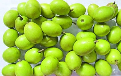 স্বাস্থ্য সুরক্ষায় জলপাই